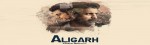 Aligarh Movie Review